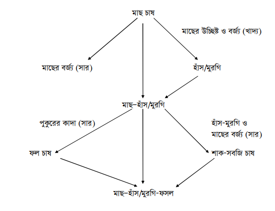 মাত্‍স্য ভিত্তিক সমন্বিত খামার (মাছ, মুরগি/হাঁস, ফসল)