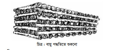 কাঠ ও বাঁশ সিজনিং এবং সংরক্ষণ