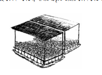 চারার পরিচর্যা