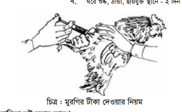 ডাক প্লেগ ও কৃমিজনিত রোগ এবং ভিটামিনের অভাবজনিত রোগ, টাকা সংরক্ষণ ও ব্যবহার