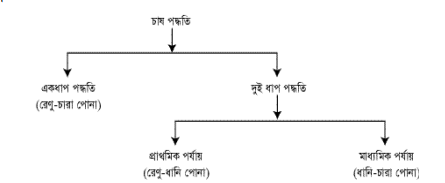 নার্সারি ব্যবস্থাপনা
