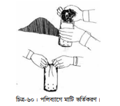 পলিব্যাগে চারা উৎপাদন