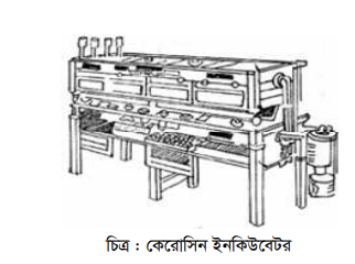 বাচ্চা ফোটানোর পদ্ধতি-২, ডিম হতে বাচ্চা ফোটানোর সময়