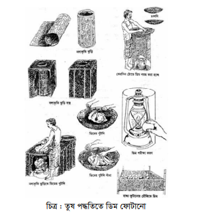 বাচ্চা ফোটানোর পদ্ধতি-২, ডিম হতে বাচ্চা ফোটানোর সময়