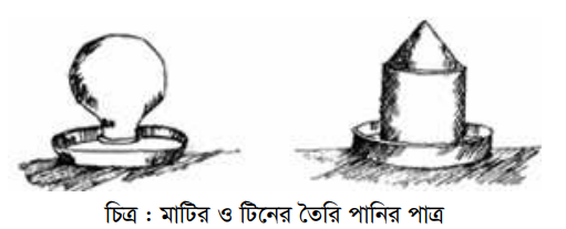 ব্রয়লার বাচ্চার ব্রুডিং সরঞ্জাম ও ব্যবস্থাপনা
