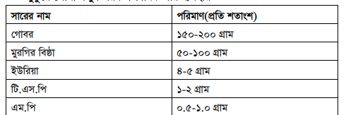 মজুদ পুকুরে মাছ চাষ