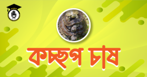 কচ্ছপ চাষ