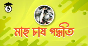 মাছ চাষ পদ্ধতি