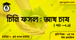 চিনি ফসল আখ চাষ