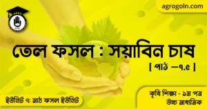 তেল ফসল সয়াবিন চাষ