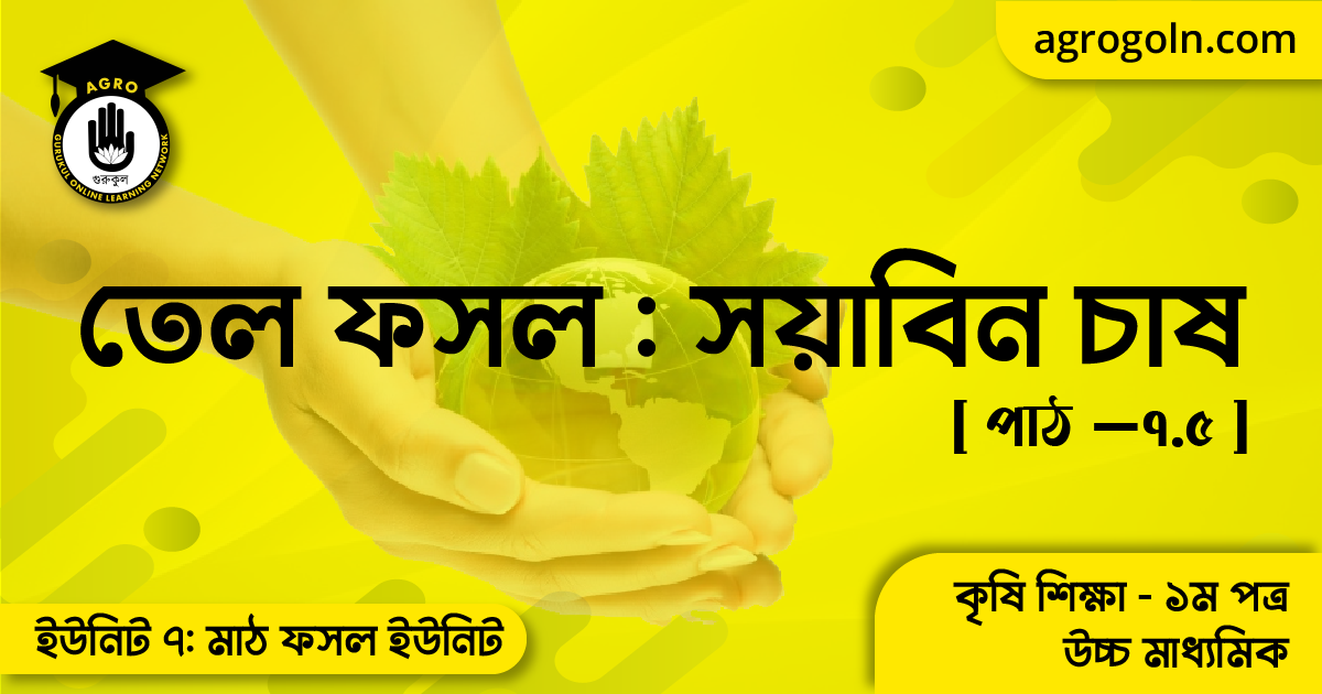 তেল ফসল সয়াবিন চাষ