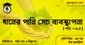 ধানের পানি সেচ ব্যবস্থাপনা