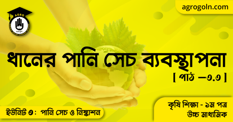 ধানের পানি সেচ ব্যবস্থাপনা