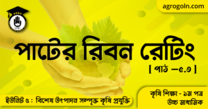 পাটের রিবন রেটিং