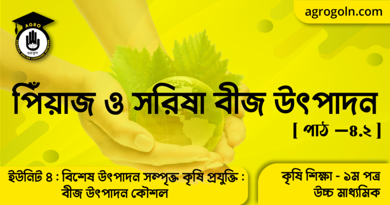 পিঁয়াজ ও সরিষা বীজ উৎপাদন