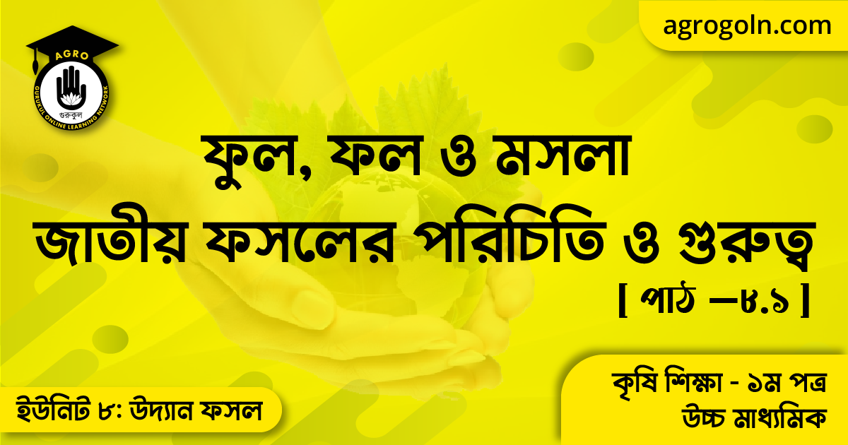 ফুল, ফল ও মসলা জাতীয় ফসলের পরিচিতি ও গুরুত্ব