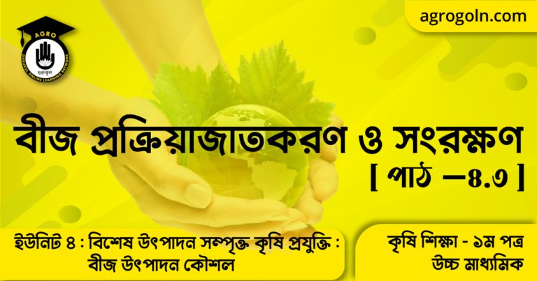 বীজ প্রক্রিয়াজাতকরণ ও সংরক্ষণ