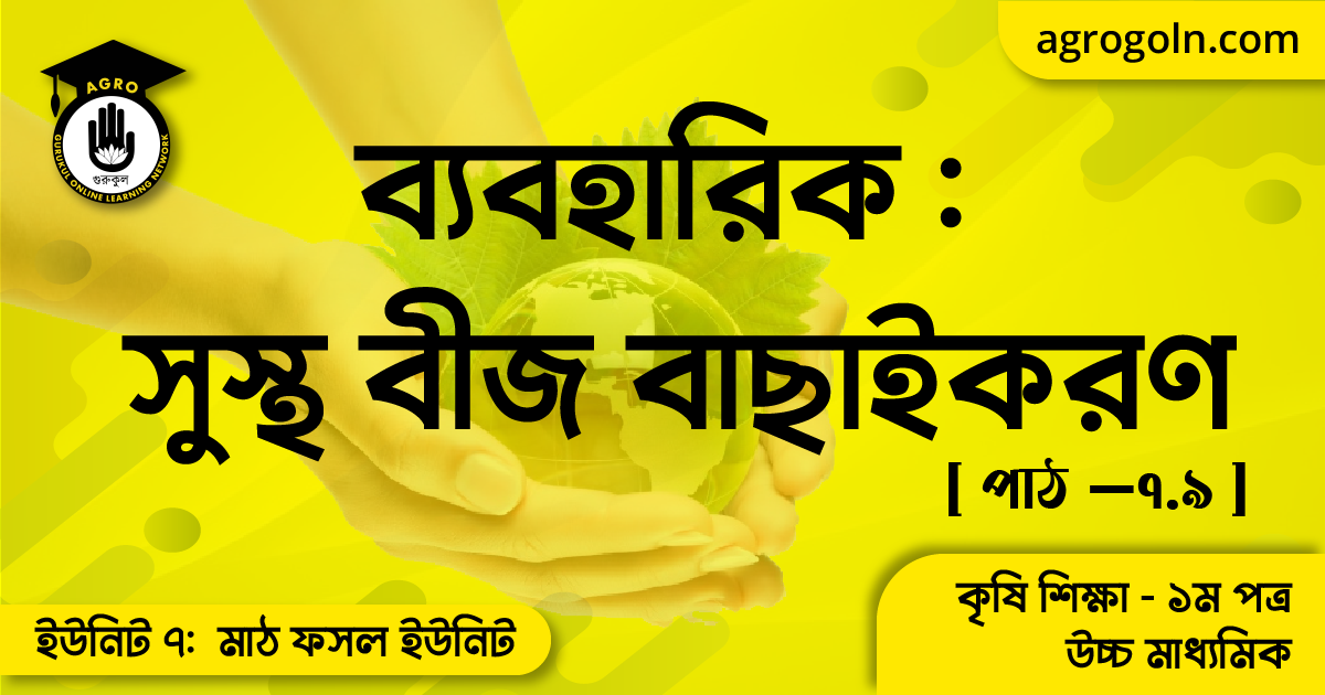 সুস্থ বীজ বাছাইকরণ