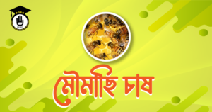 মৌমাছি চাষ