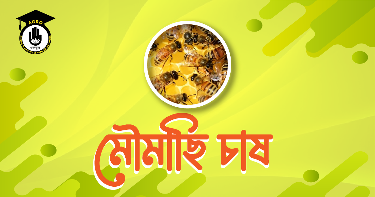 মৌমাছি চাষ