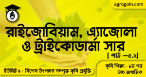 রাইজোবিয়াম, এ্যাজোলা ও ট্রাইকোডার্মা সার