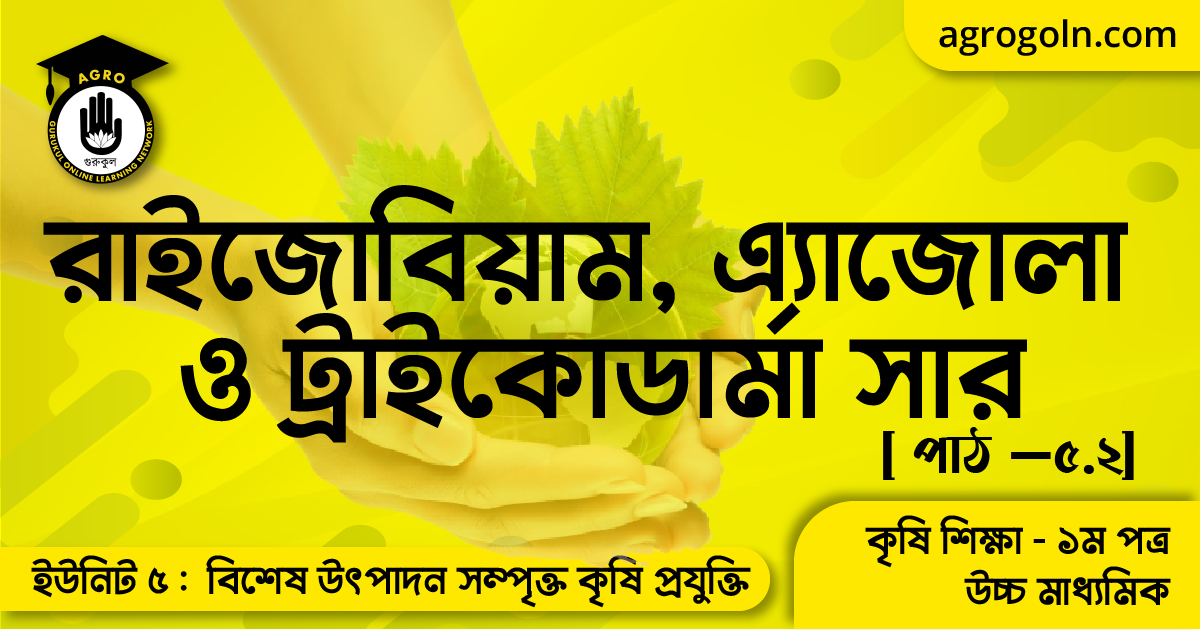 রাইজোবিয়াম, এ্যাজোলা ও ট্রাইকোডার্মা সার