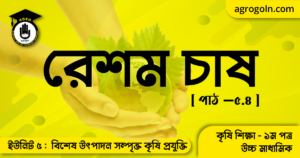 রেশম চাষ