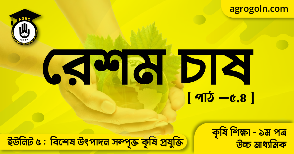 রেশম চাষ