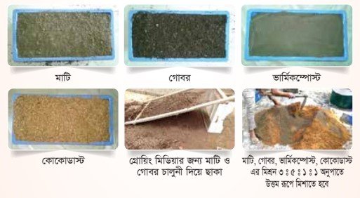 আদর্শ গ্রোয়িং মিডিয়ার উদাহরণ