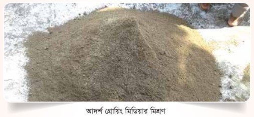আদর্শ গ্রোয়িং মিডিয়ার মিশ্রণ