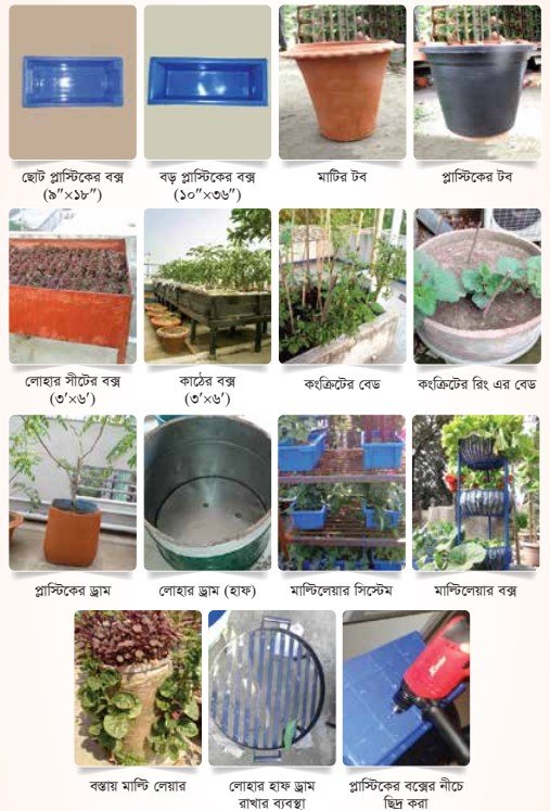 ছাদ বাগানের জন্য পট বা কনটেইনার
