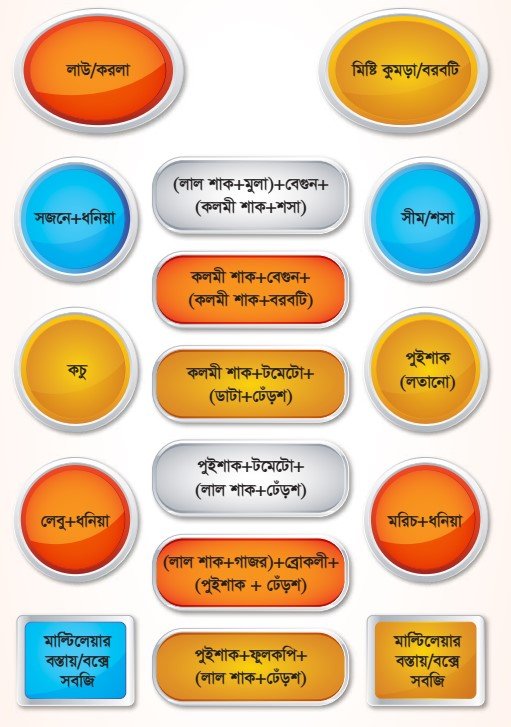 ছাদে সবজি বাগানের মডেল