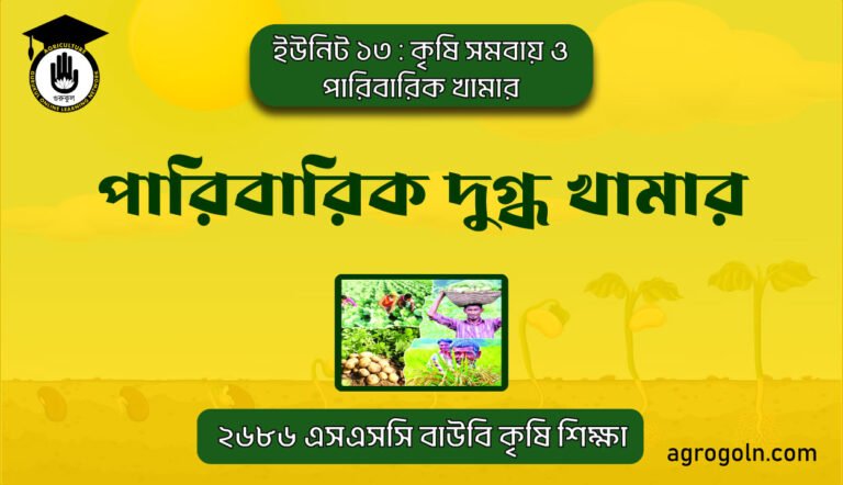 পারিবারিক দুগ্ধ খামার