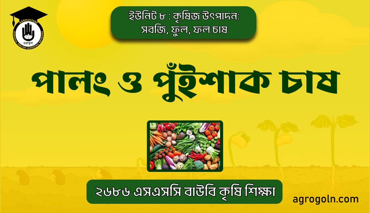 পালং ও পুঁইশাক চাষ 1 পালং ও পুঁইশাক চাষ