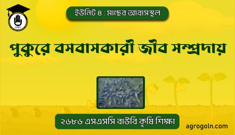 পুকুরে বসবাসকারী জীব সম্প্রদায়