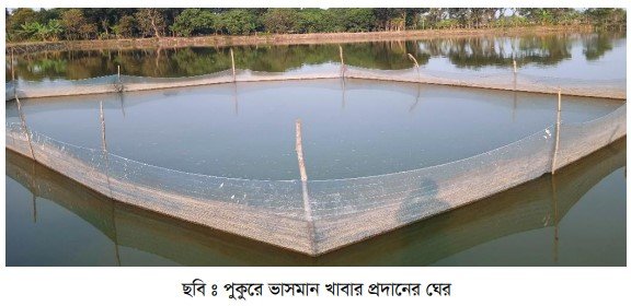 পুকুরে ভাসমান খাবার প্রদানের ঘের