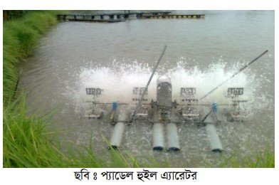 প্যাডেল হুইল এ্যারেটর