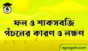 ফল ও শাকসবজি পঁচনের কারণ ও লক্ষণ