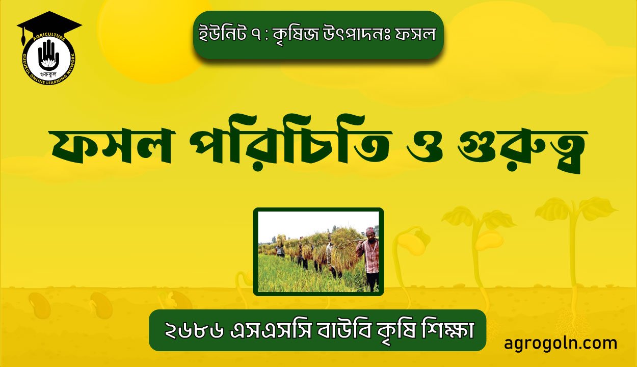 ফসল পরিচিতি ও গুরুত্ব