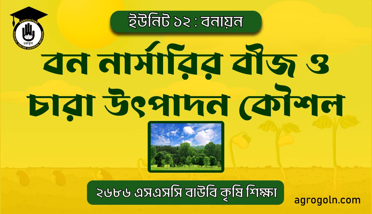 বন নার্সারির বীজ ও চারা উৎপাদন কৌশল 1 বন নার্সারির বীজ ও চারা উৎপাদন কৌশল