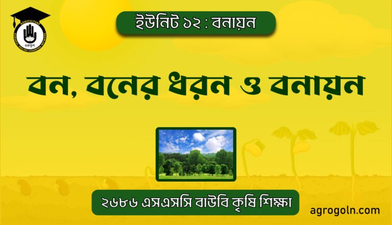 বন, বনের ধরন ও বনায়ন