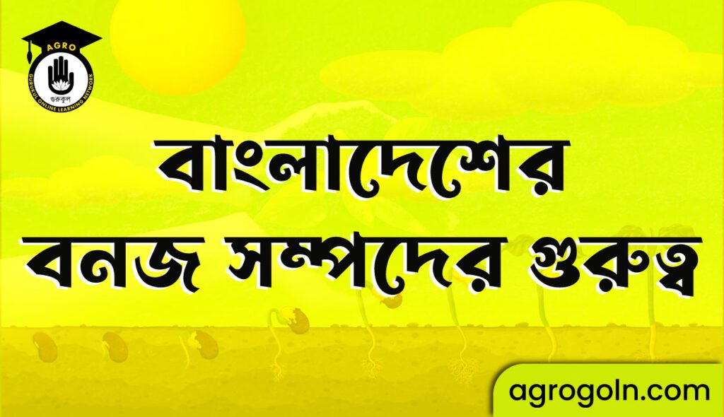 বাংলাদেশের বনজ সম্পদের গুরুত্ব