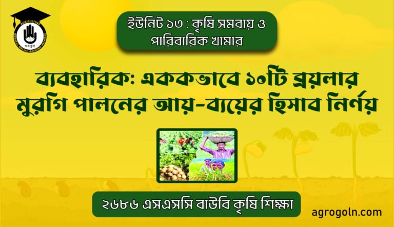 এককভাবে ১০টি ব্রয়লার মুরগি পালনের আয়-ব্যয়ের হিসাব নির্ণয়