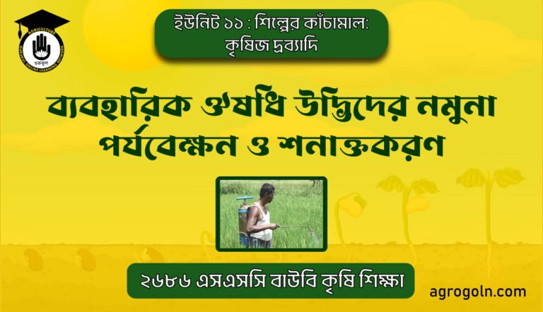 ব্যবহারিক: ঔষধি উদ্ভিদের নমুনা পর্যবেক্ষন ও শনাক্তকরণ