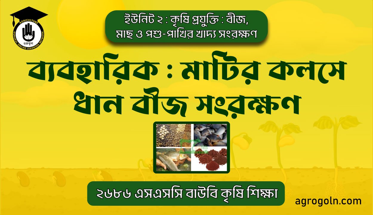 মাটির কলসে ধান বীজ সংরক্ষণ