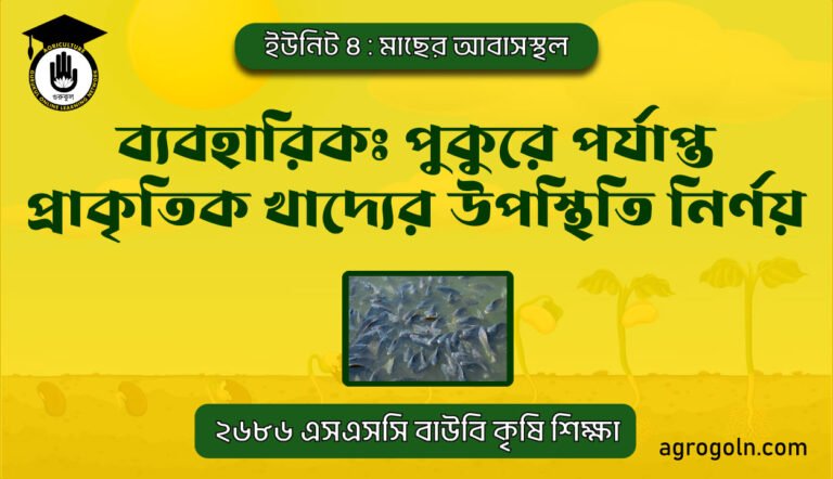 ব্যবহারিকঃ পুকুরে পর্যাপ্ত প্রাকৃতিক খাদ্যের উপস্থিতি নির্ণয়