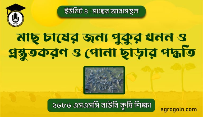 মাছ চাষের জন্য পুকুর খনন ও প্রস্তুতকরণ ও পোনা ছাড়ার পদ্ধতি