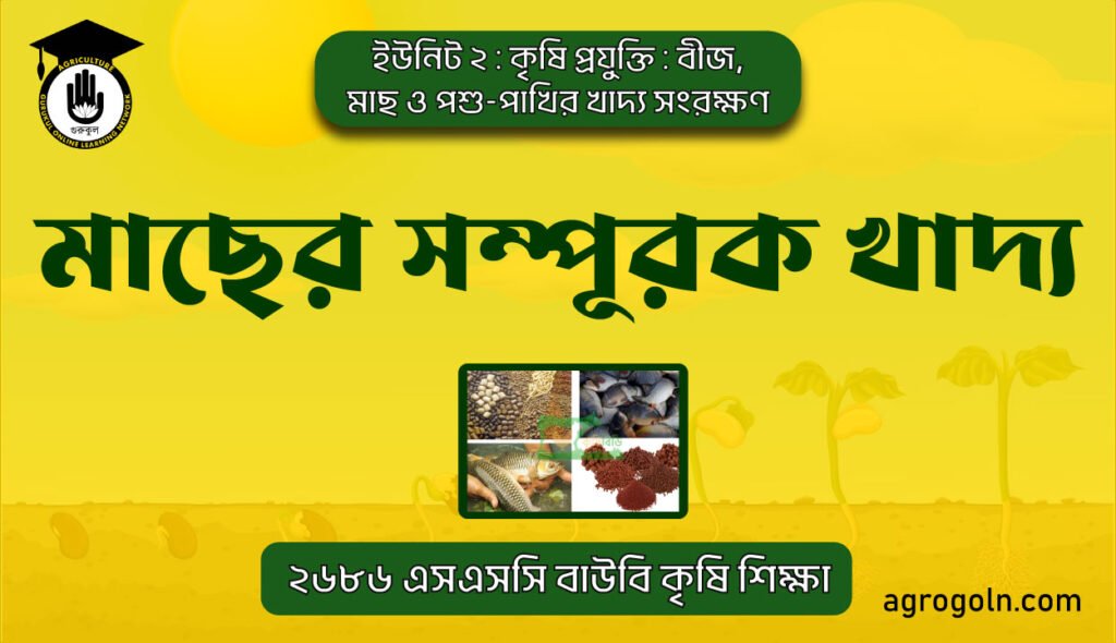 মাছের সম্পূরক খাদ্য