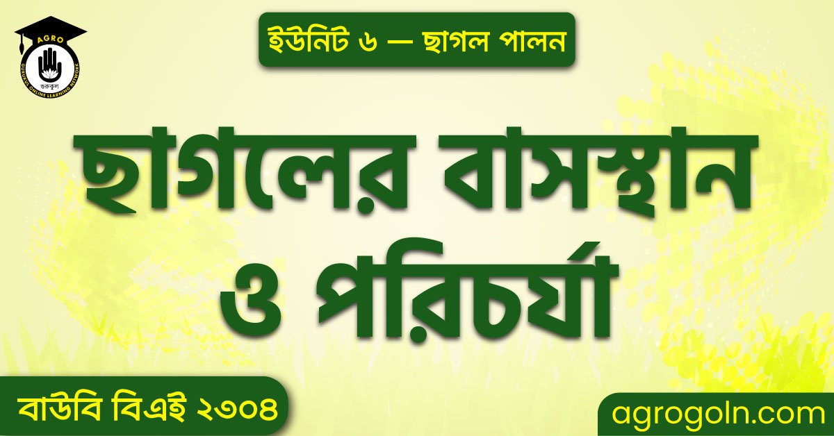 ছাগলের বাসস্থান ও পরিচর্যা