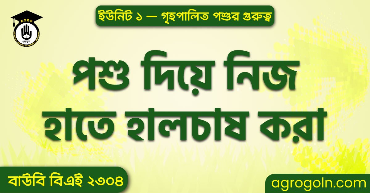 পশু দিয়ে নিজ হাতে হালচাষ করা